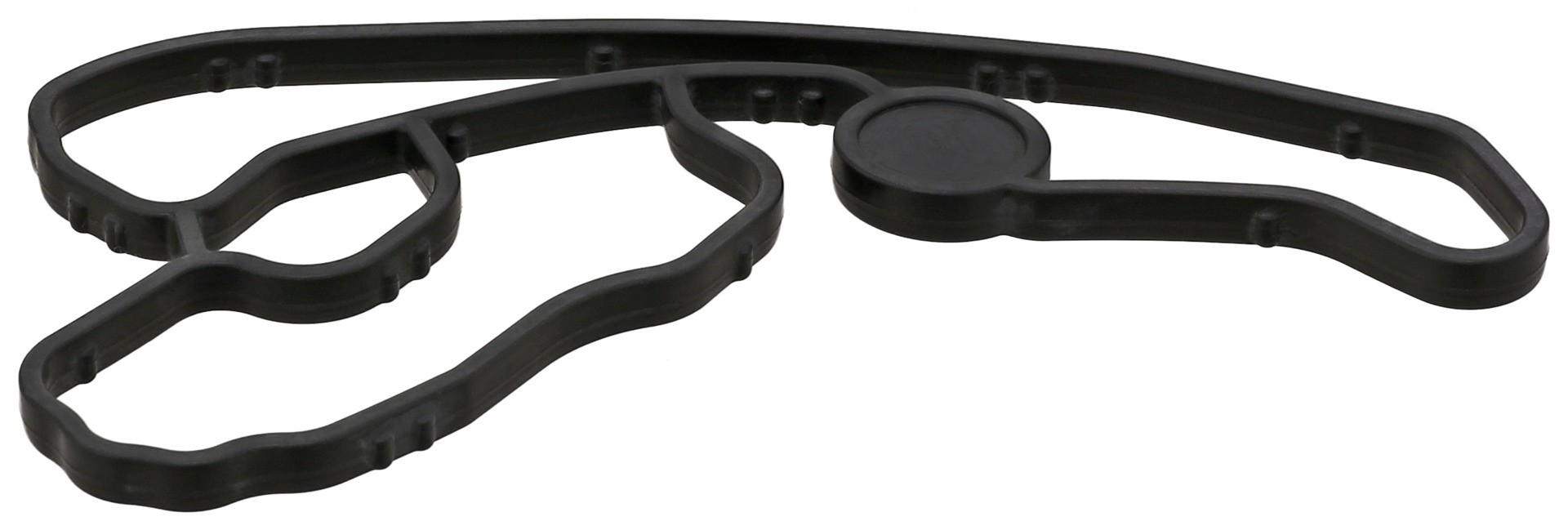 Gasket, Oil Filter Housing