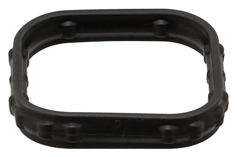 Seal Ring, Coolant Pipe