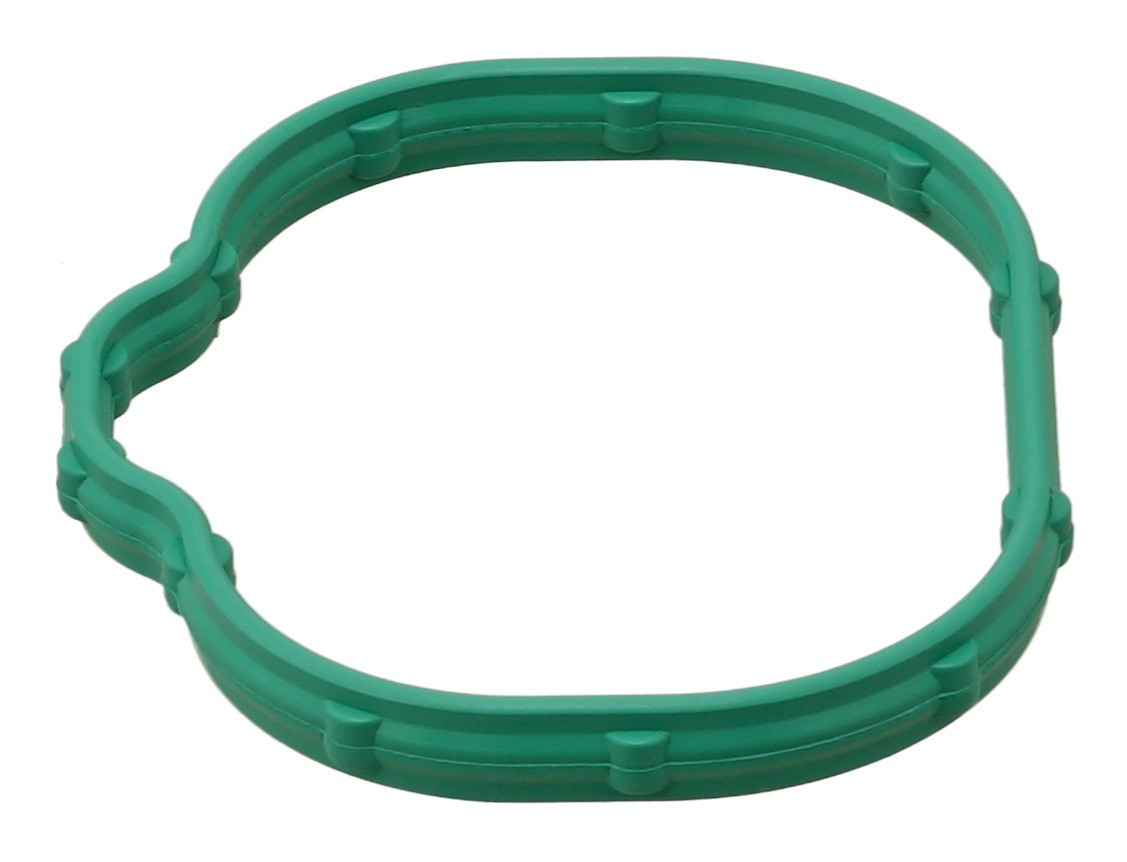 Gasket, Intake Manifold