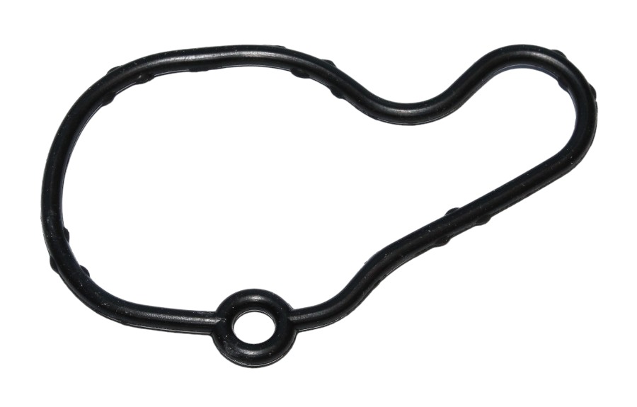 Gasket, vacuum pump