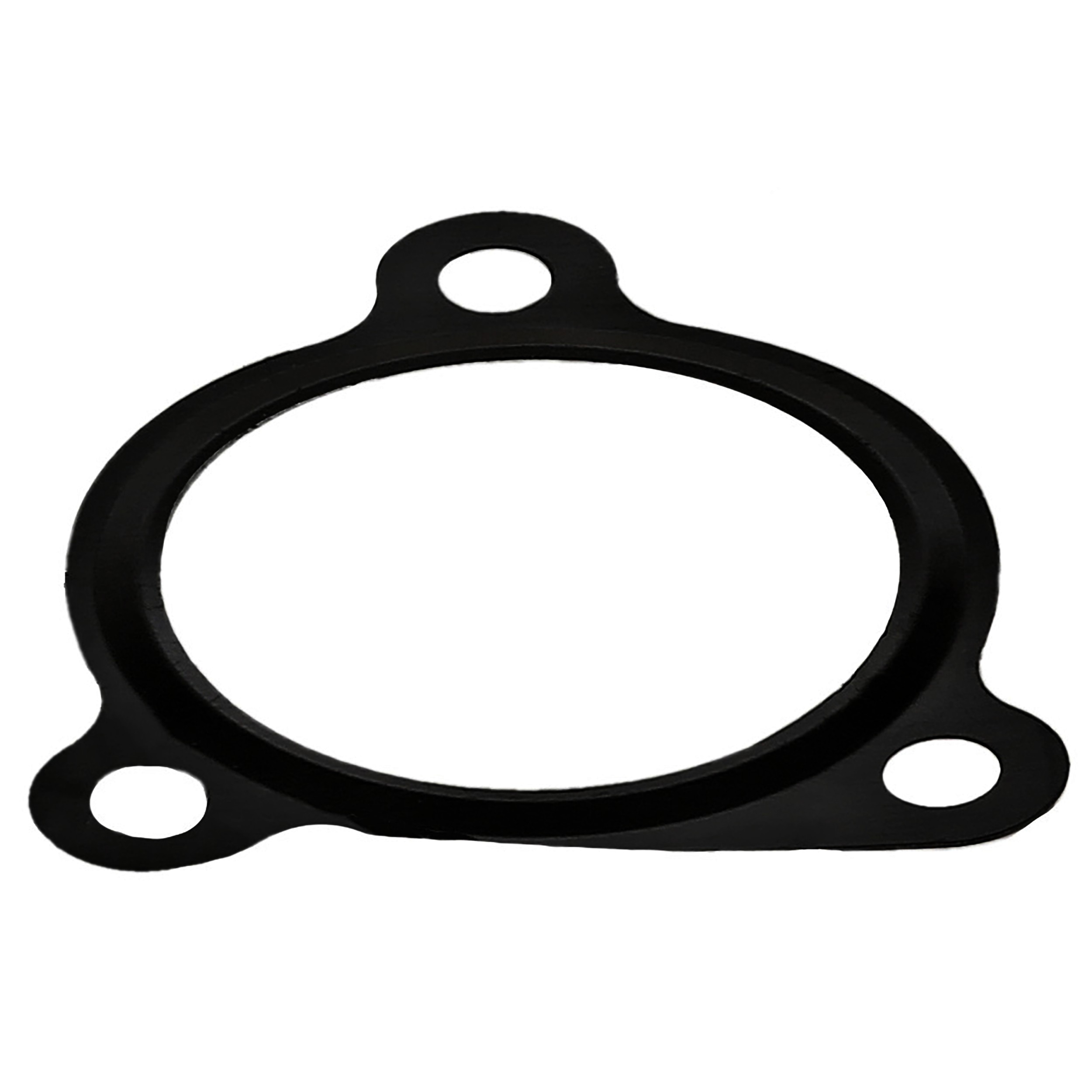 Gasket, EGR Valve