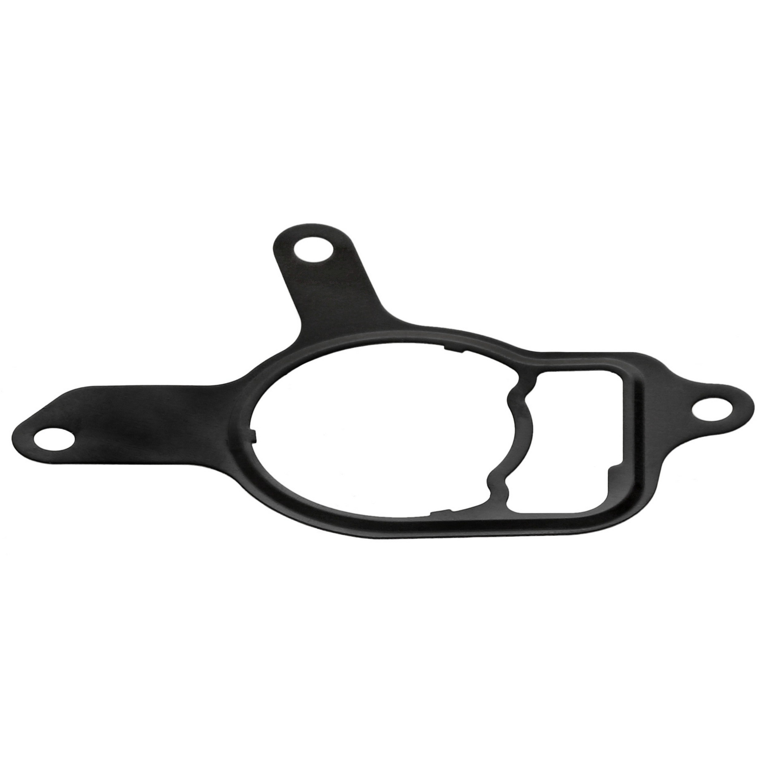 Gasket, vacuum pump