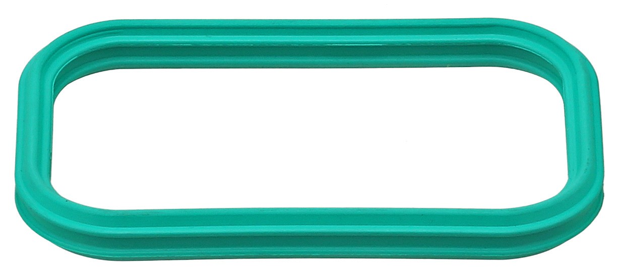 Gasket, Intake Manifold