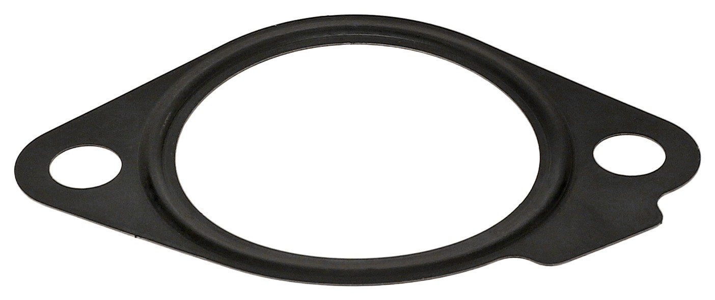 Seal Ring, Coolant Pipe