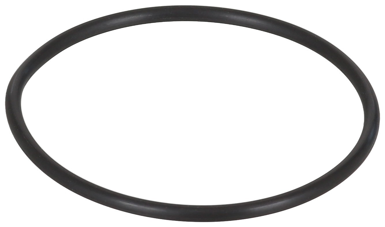 Seal, Throttle Body Mounting