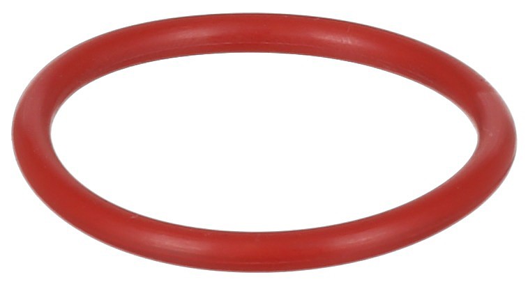 Seal Ring, Crankcase Vent