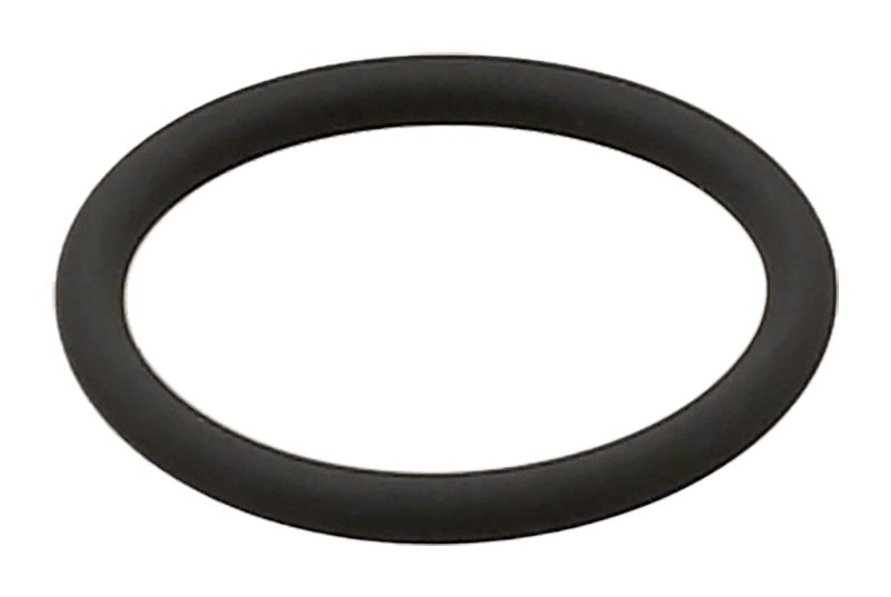 Seal Ring, Oil Pressure Regulating Valve