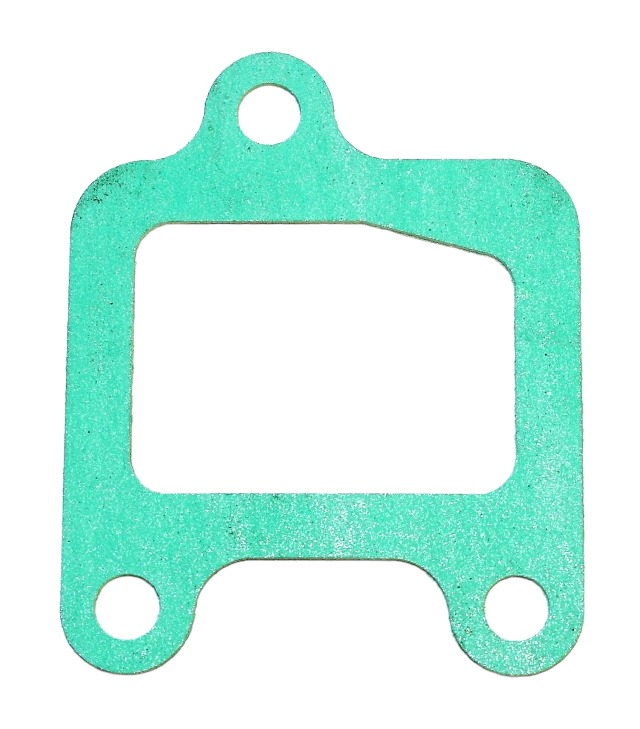 Seal Ring, Coolant Pipe