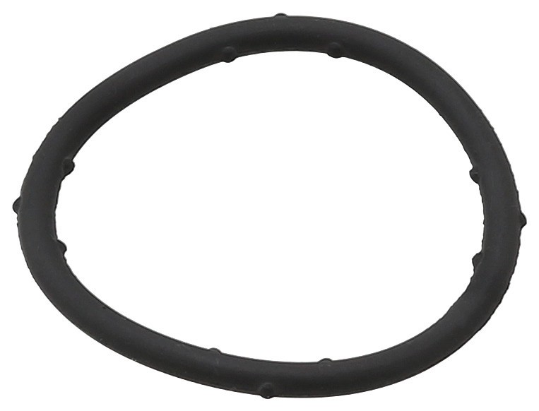Gasket, Coolant Flange