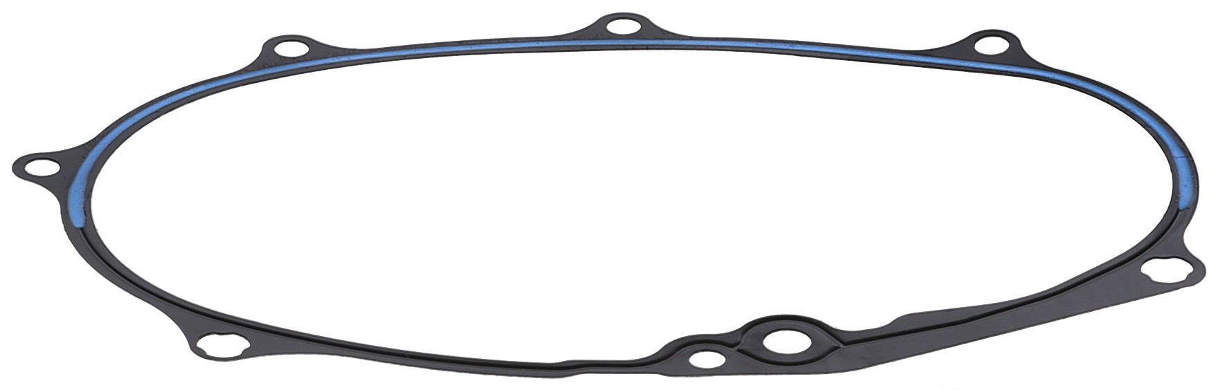 Gasket, Timing Case