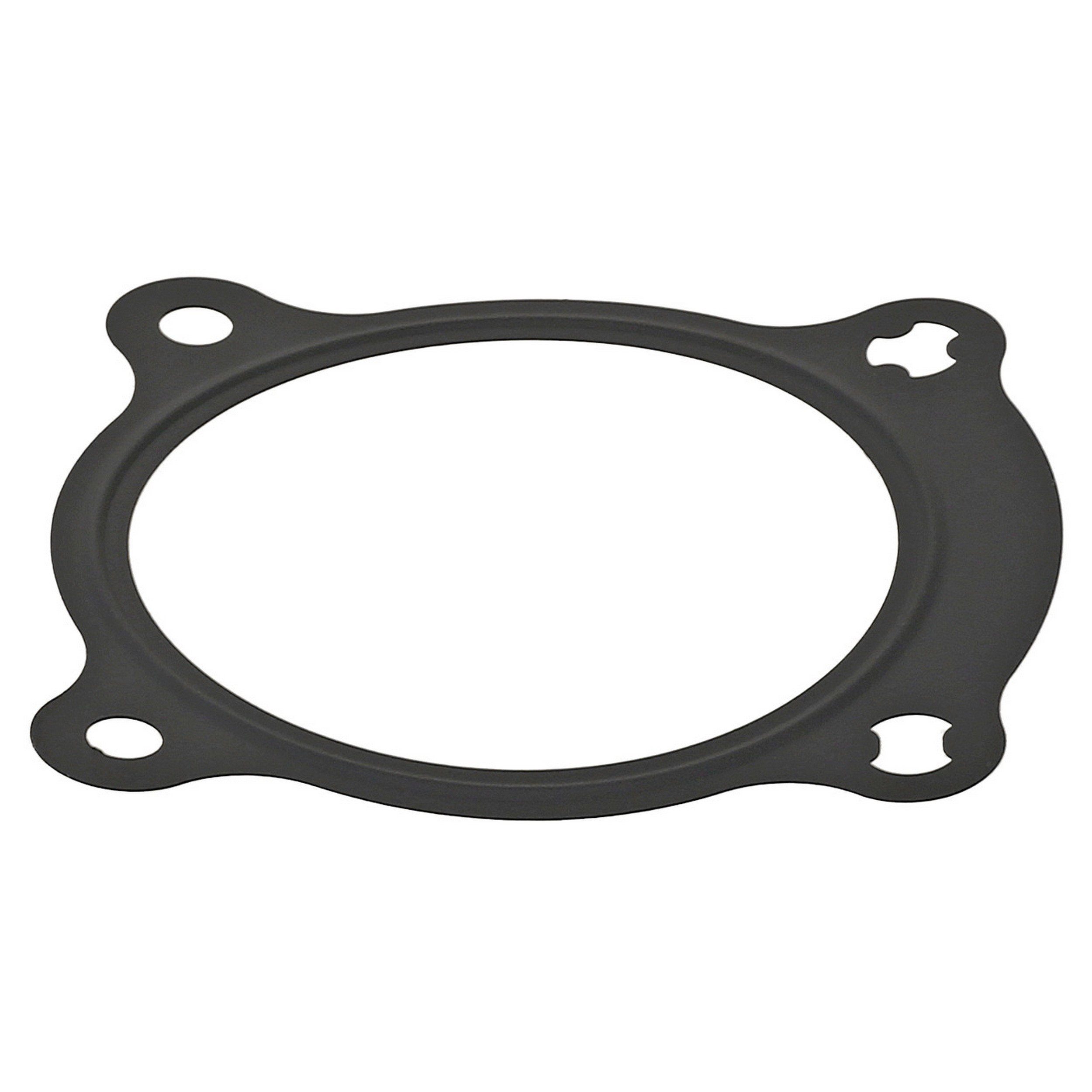 Seal, Throttle Body Mounting