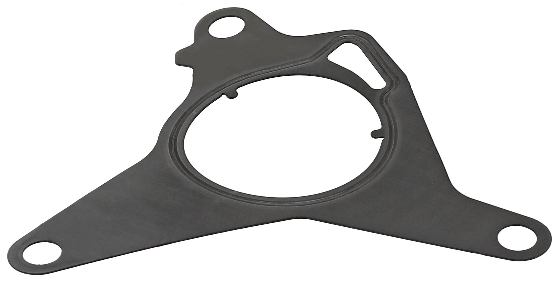 Gasket, vacuum pump