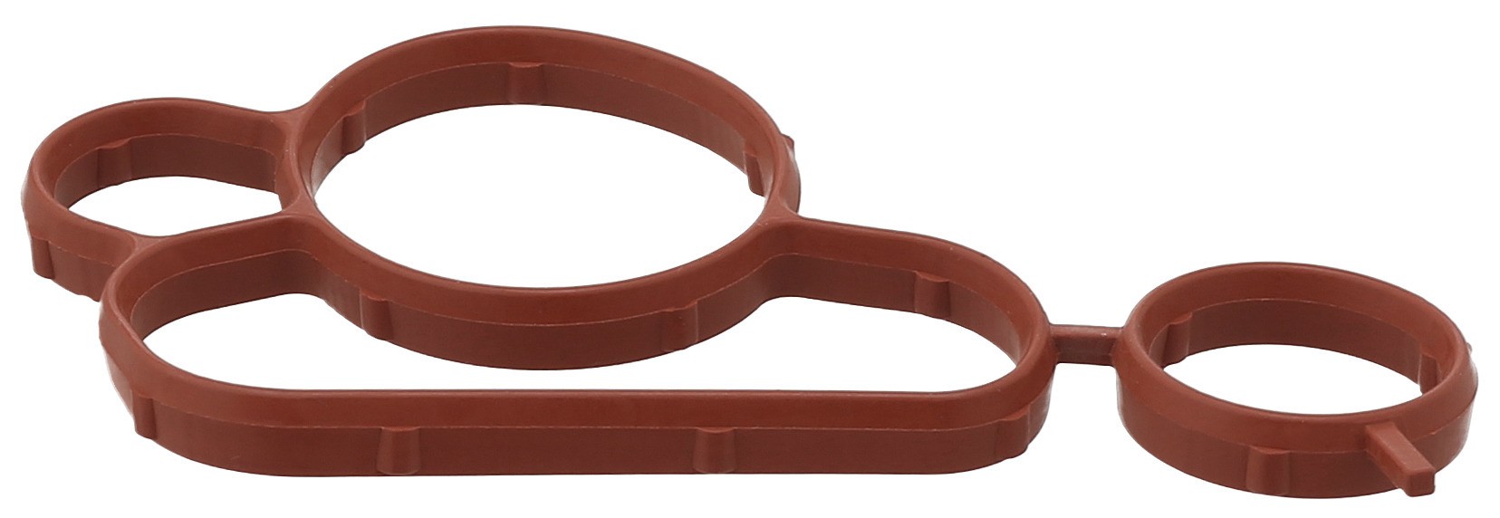 Gasket, Oil Filter Housing