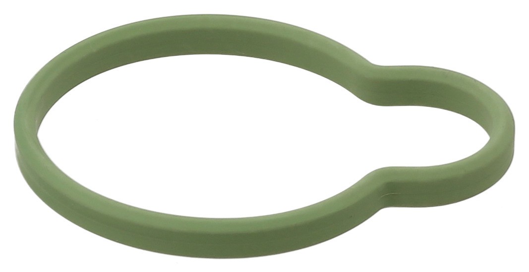 Gasket, Intake Manifold