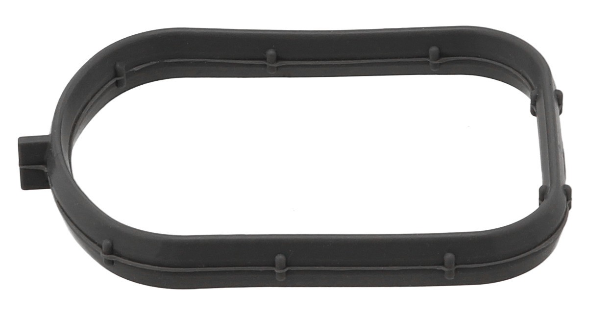 Gasket, Intake Manifold