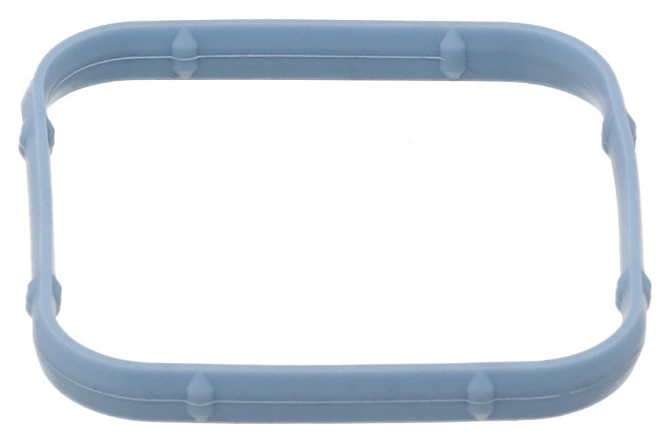 Gasket, Intake Manifold
