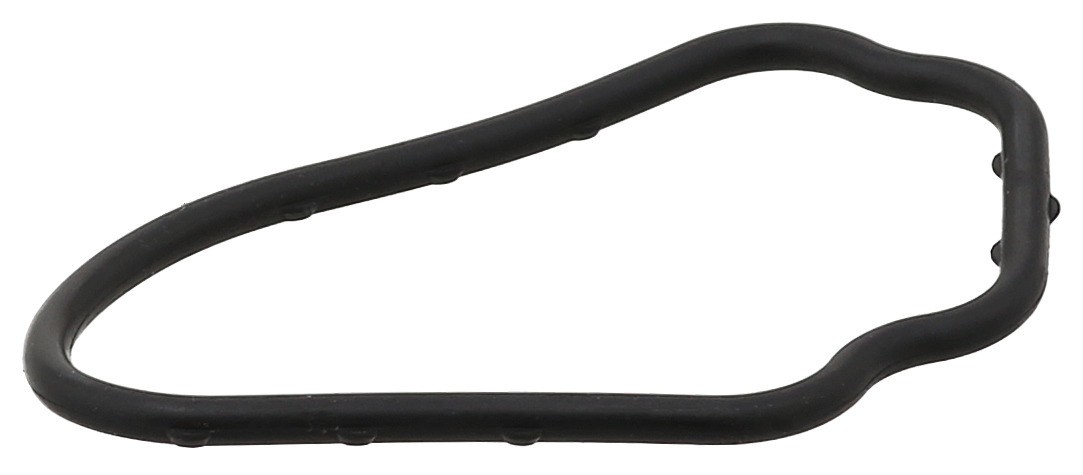 Gasket, Thermostat Housing