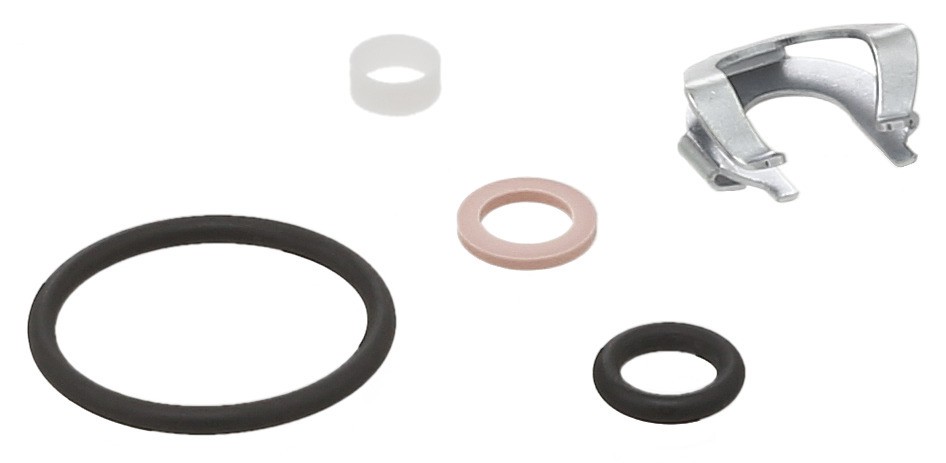 Seal Ring Kit, Fuel Injector