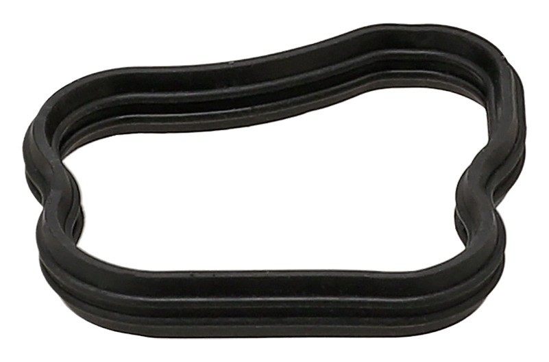 Gasket, Coolant Flange
