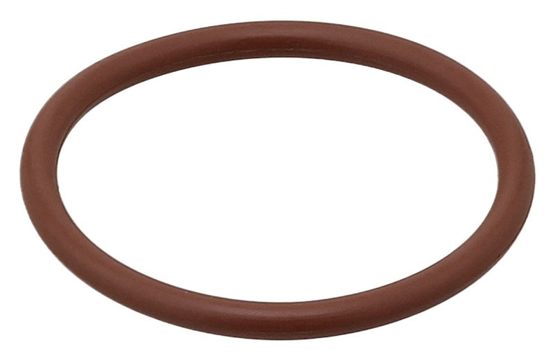 Seal Ring, Crankcase Vent