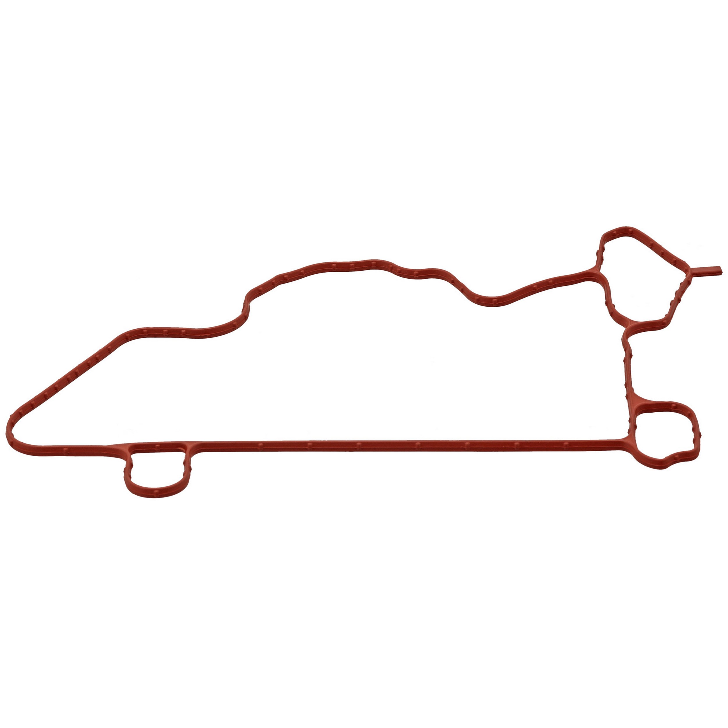 Gasket, Crankcase Ventilation