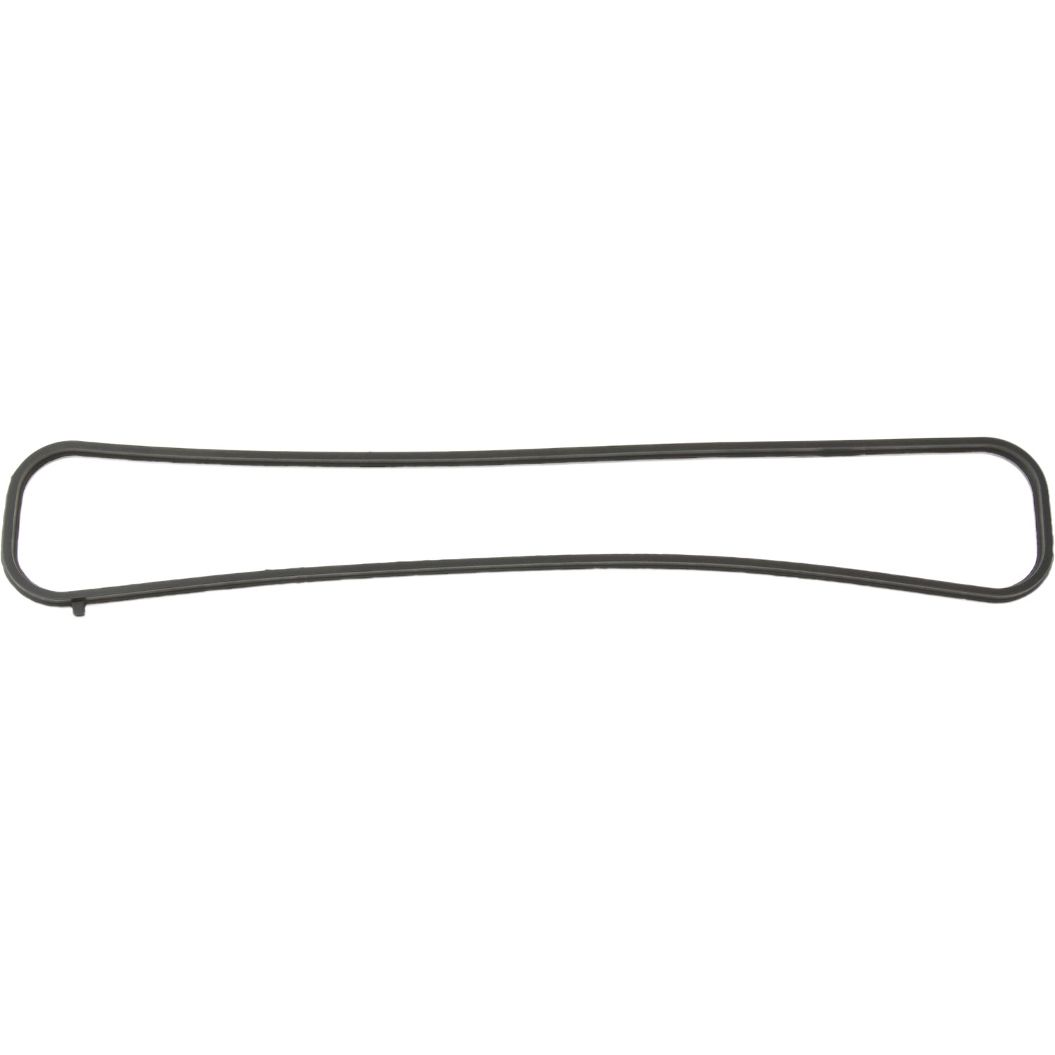CHAIN CASE GASKET