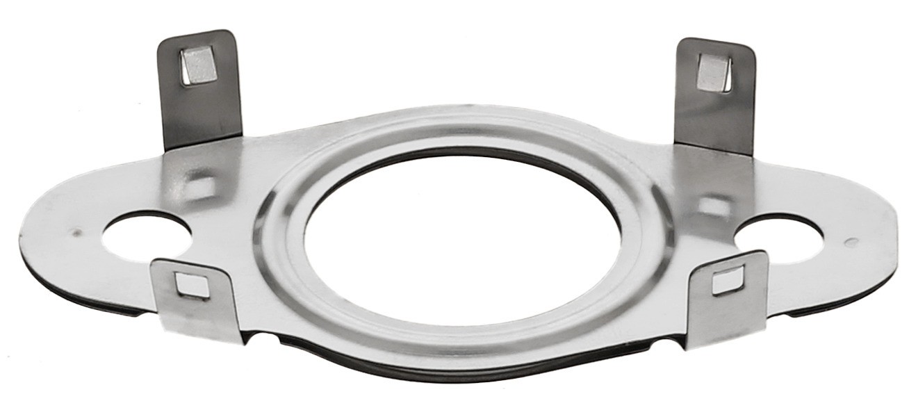 Gasket, Crankcase Hosuing Cover