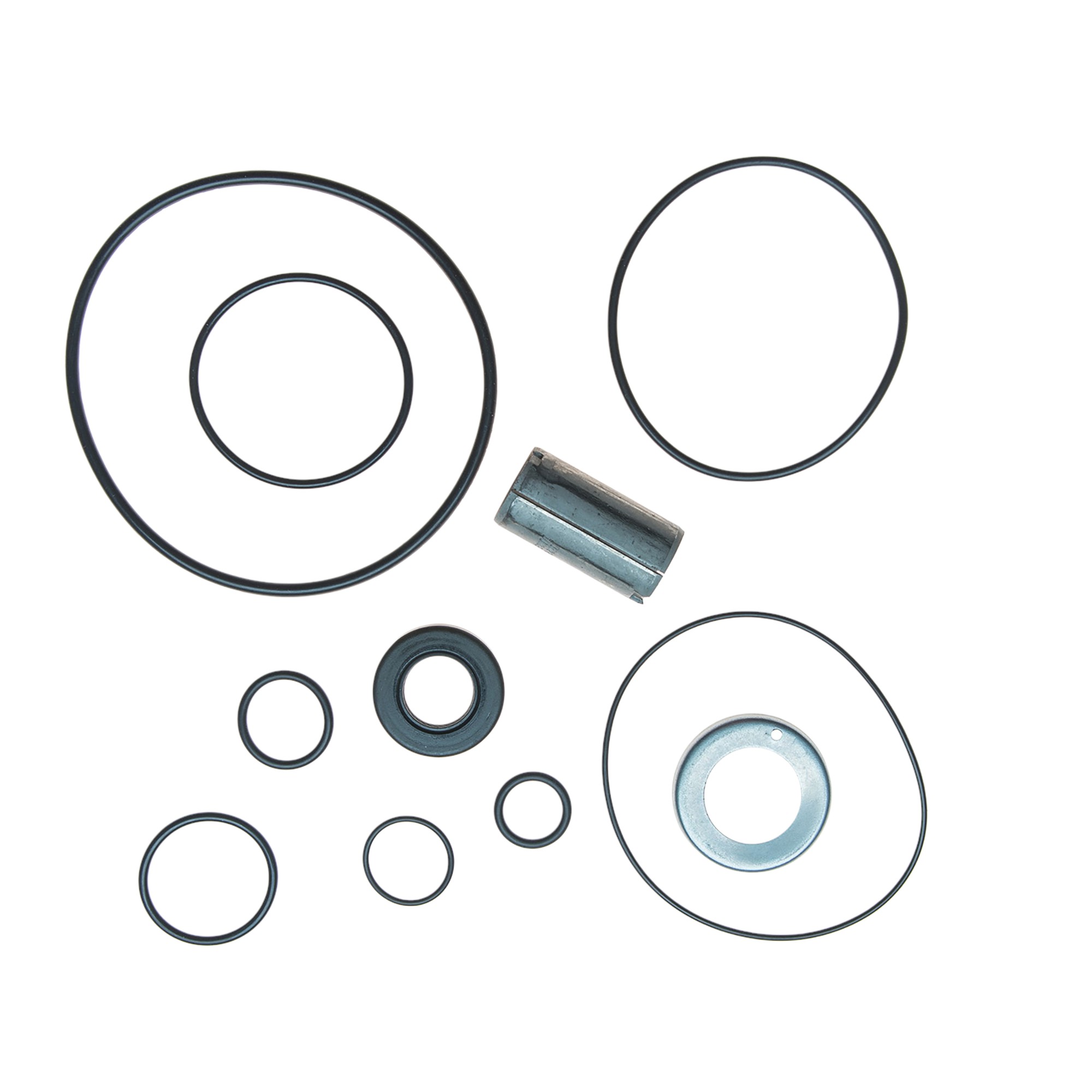 PUMP COMPLETE REBUILD KIT