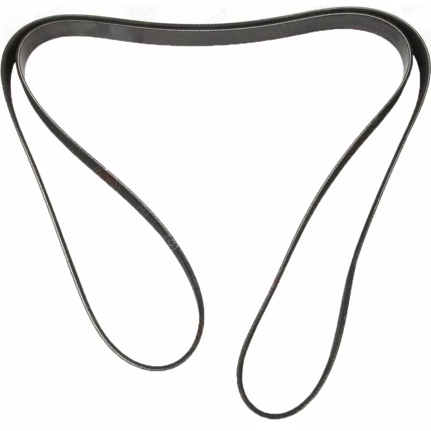 Accessory Drive Belt