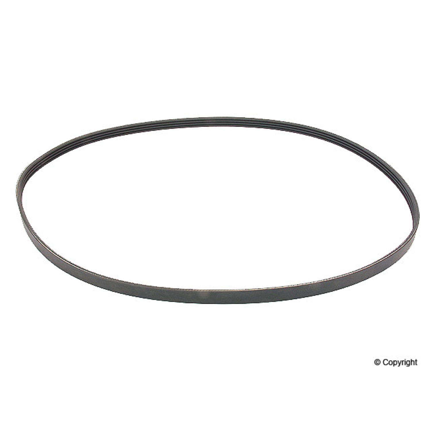 BELT-MULTI RIB