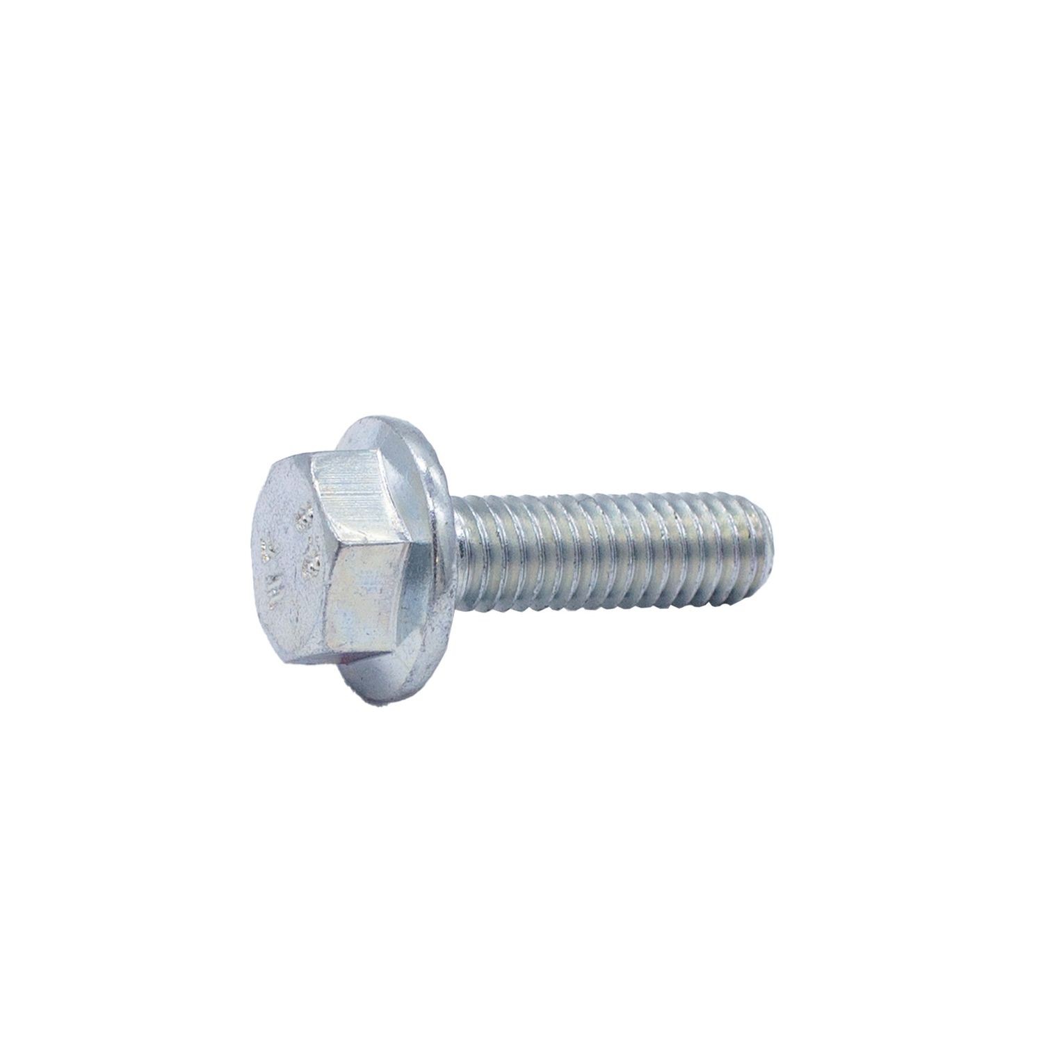 Engine Water Pump Bolt