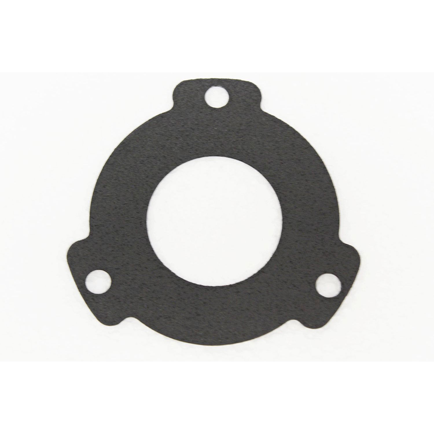 Fuel Pump Gasket