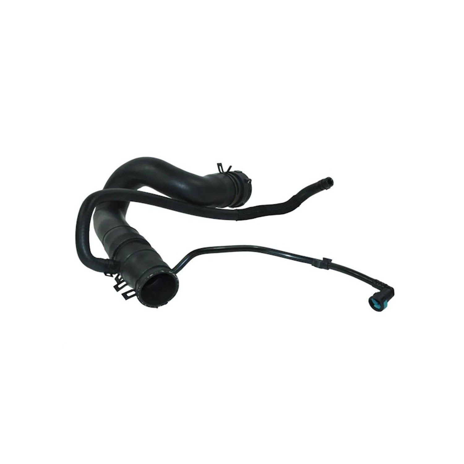 Radiator Coolant Hose