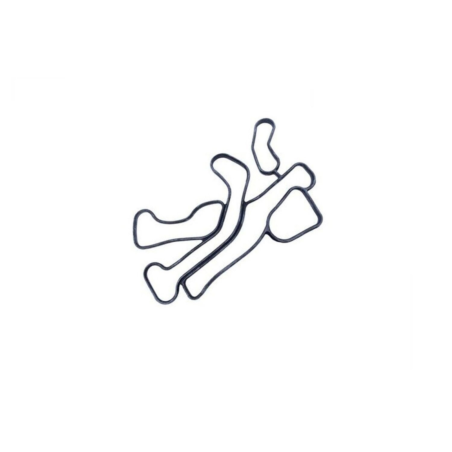 Engine Oil Cooler Gasket