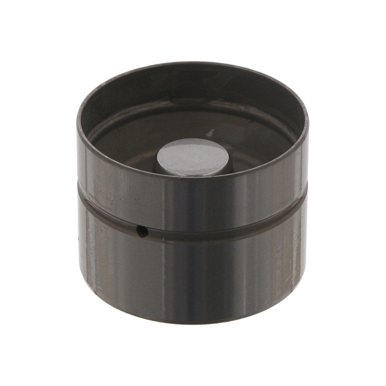 Hydraulic Cam Follower