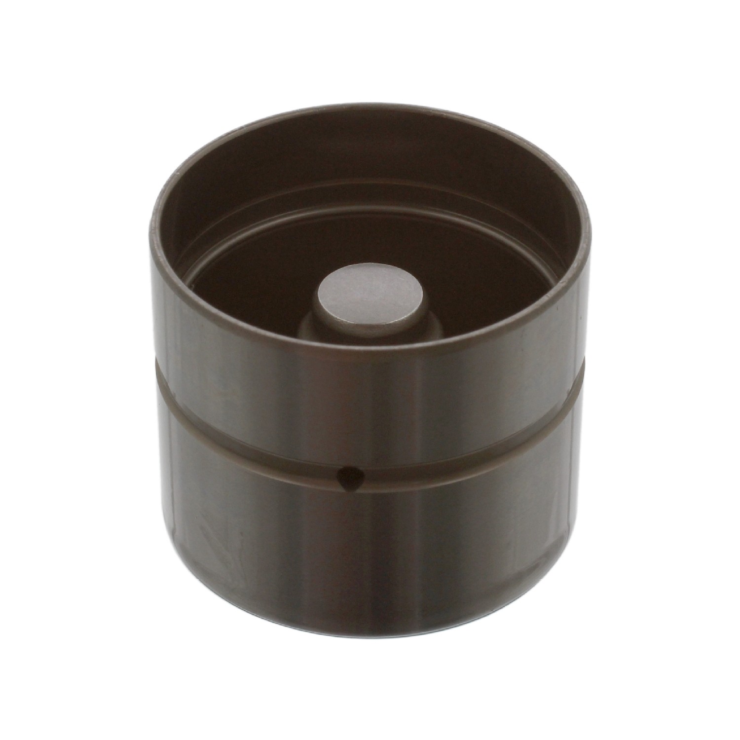 Hydraulic Cam Follower