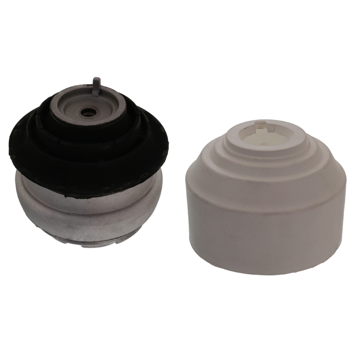 Engine Mounting with protective cap