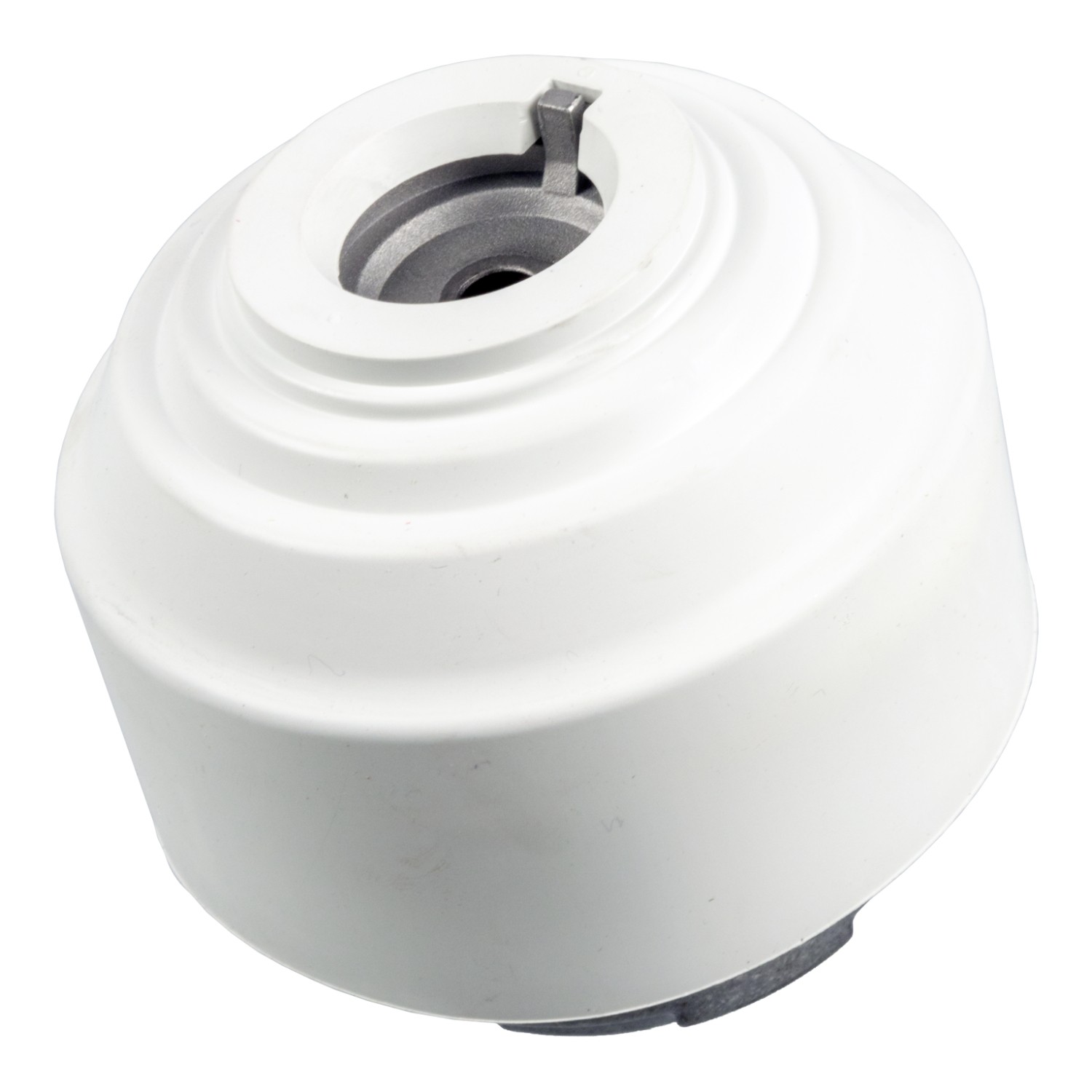 Engine Mounting with protective cap