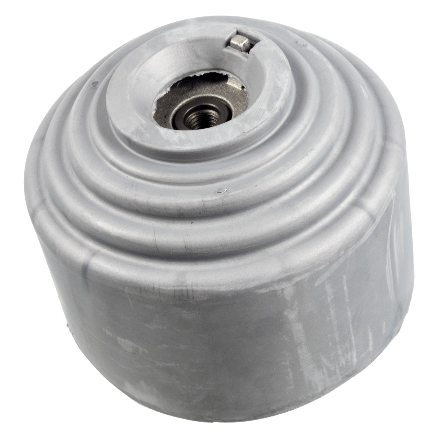 Engine Mounting with protective cap