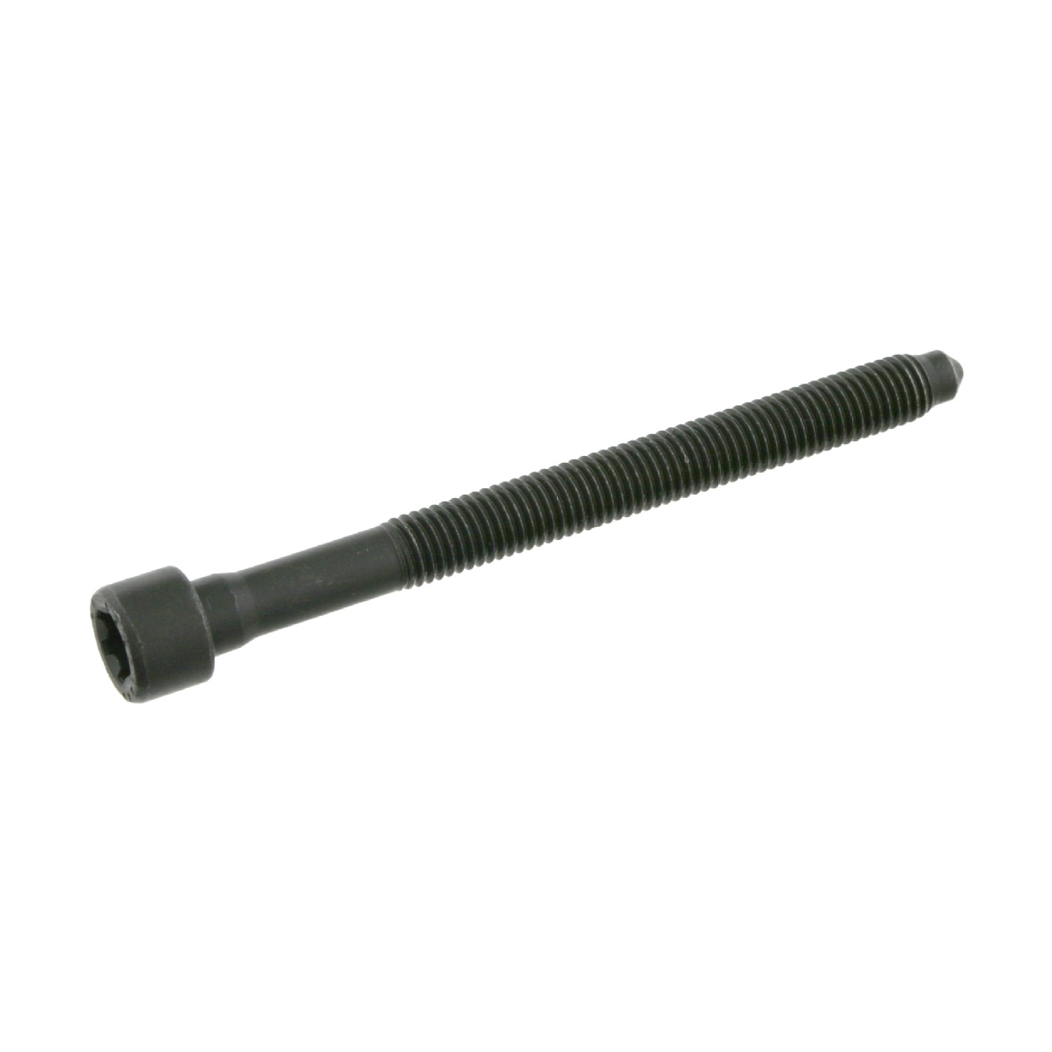 Cylinder Head Bolt