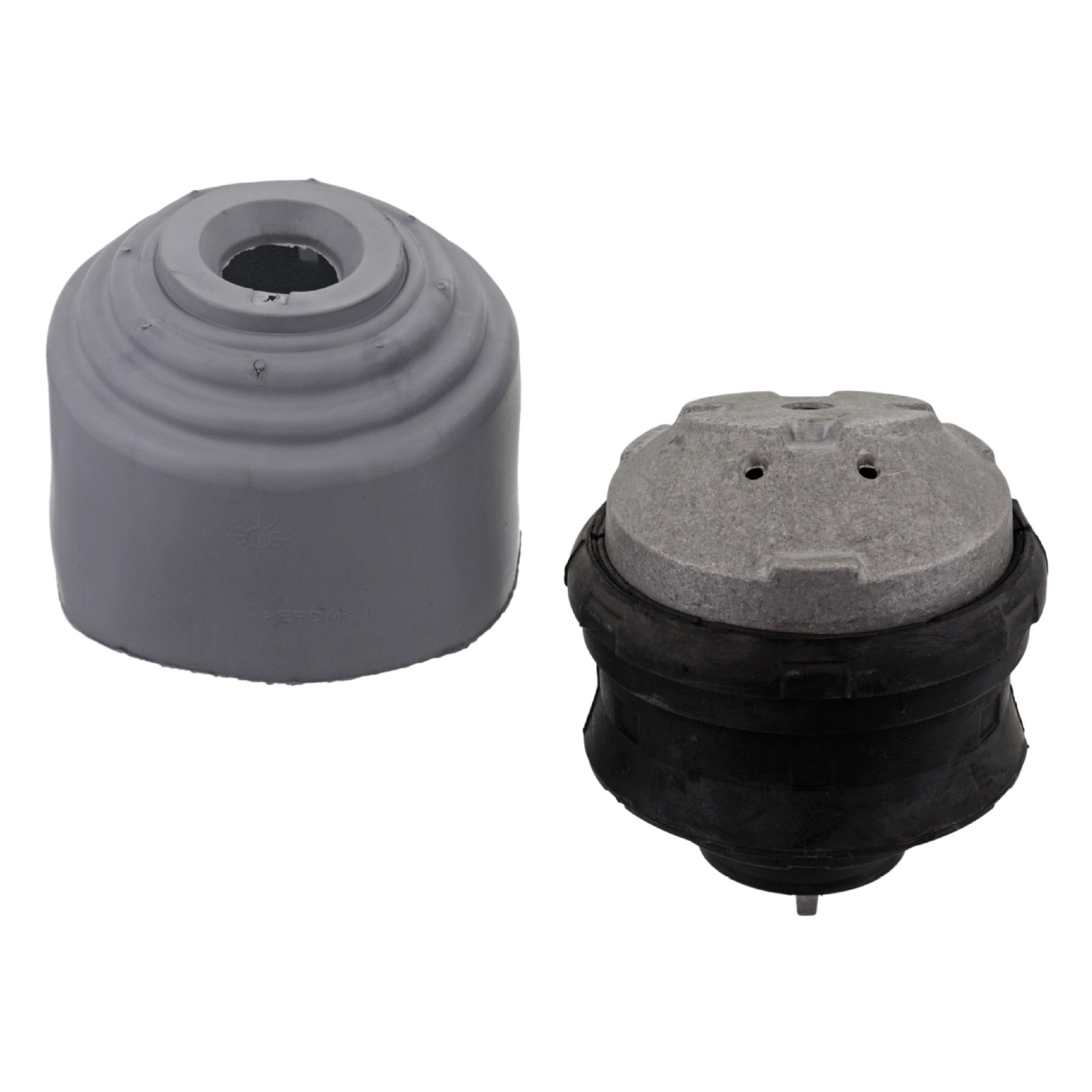 Engine Mounting with protective cap