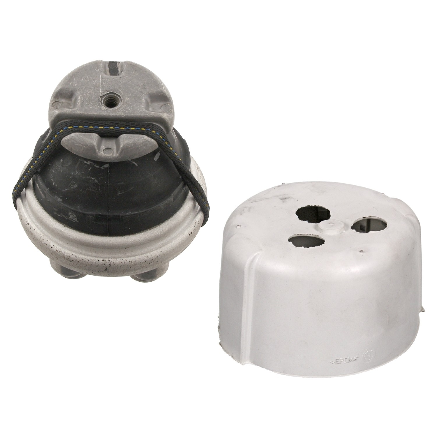 Engine Mounting with protective cap