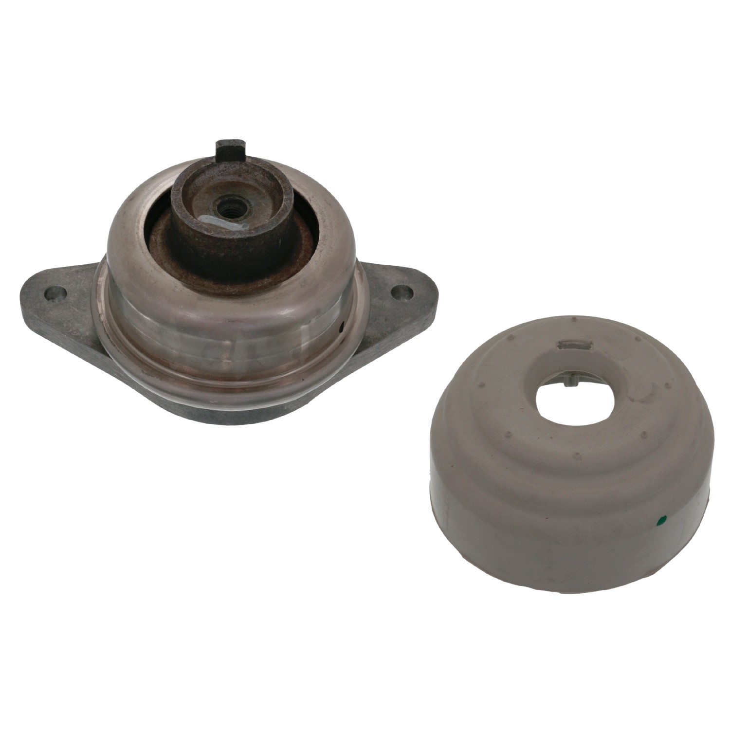 Engine Mounting with protective cap