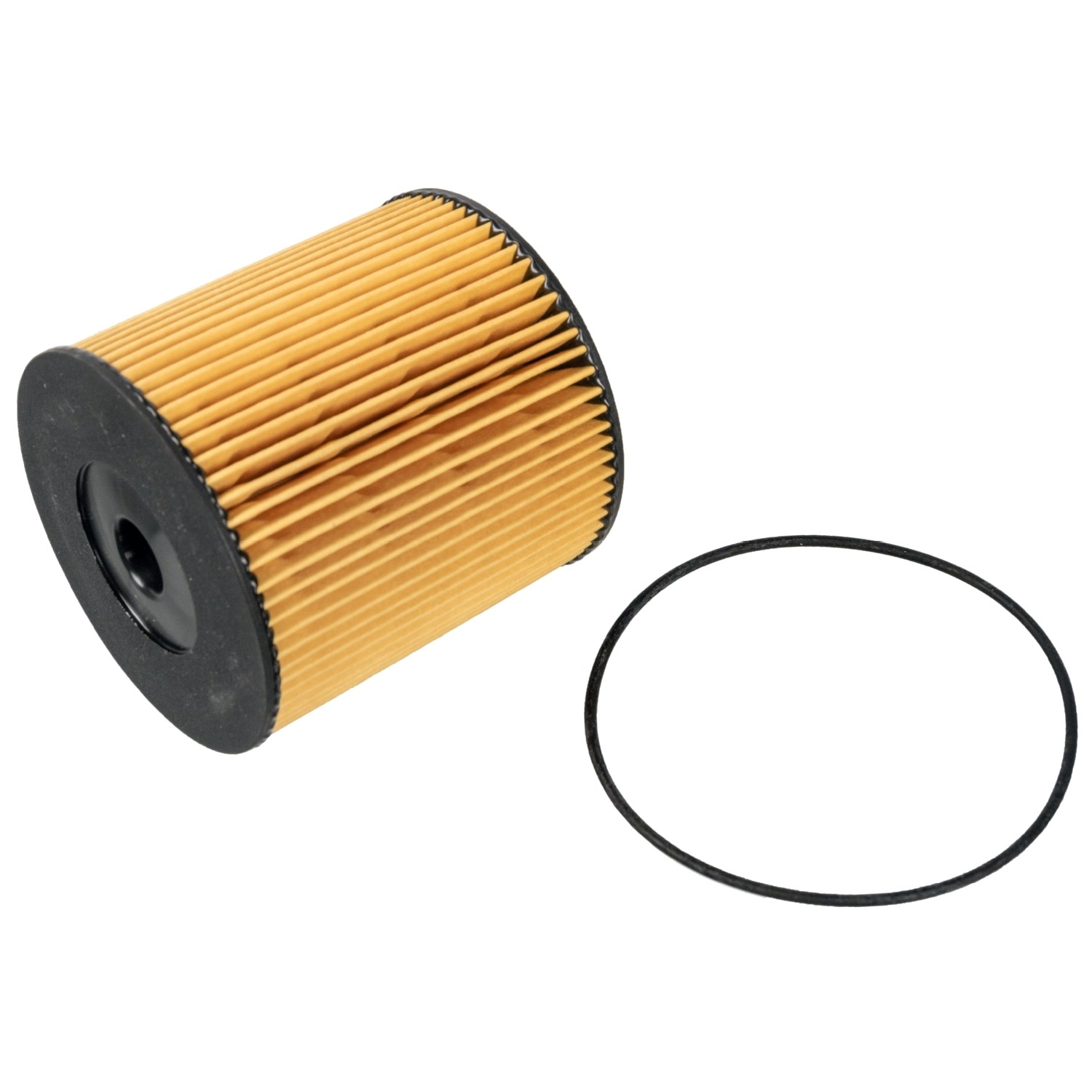 Fuel Filter with sealing ring