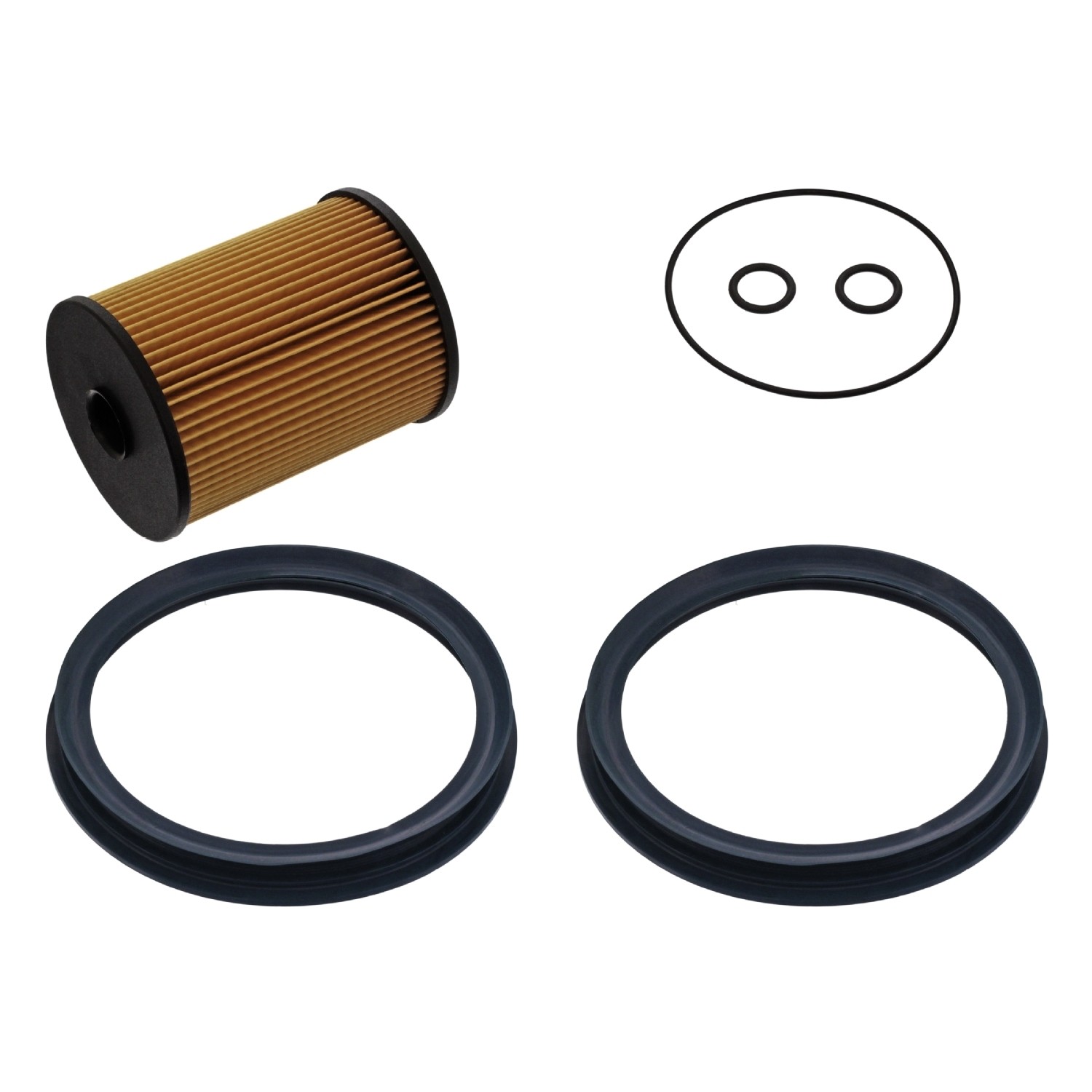 Fuel Filter with gaskets