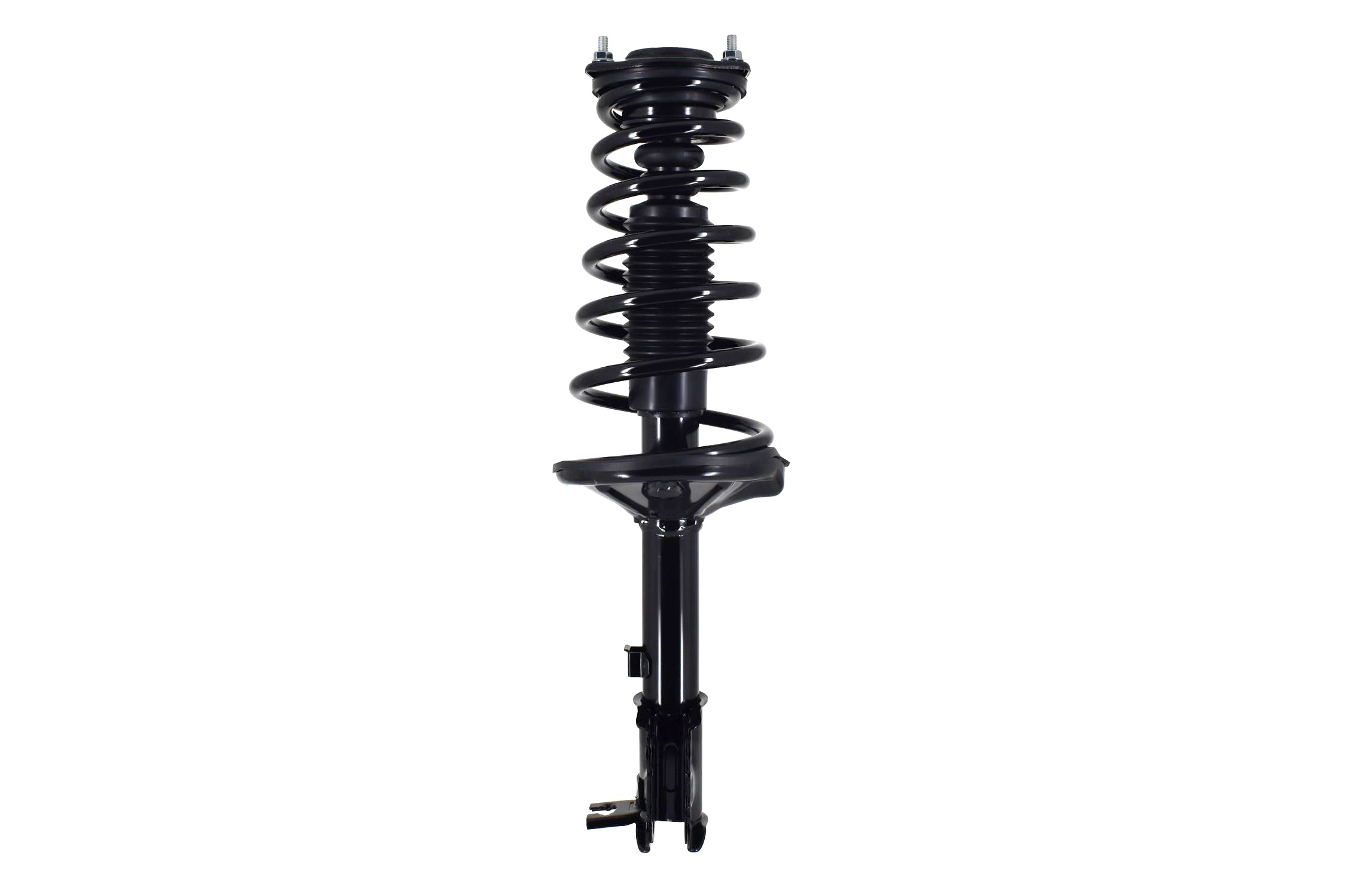 Suspension Strut and Coil Spring Assembly