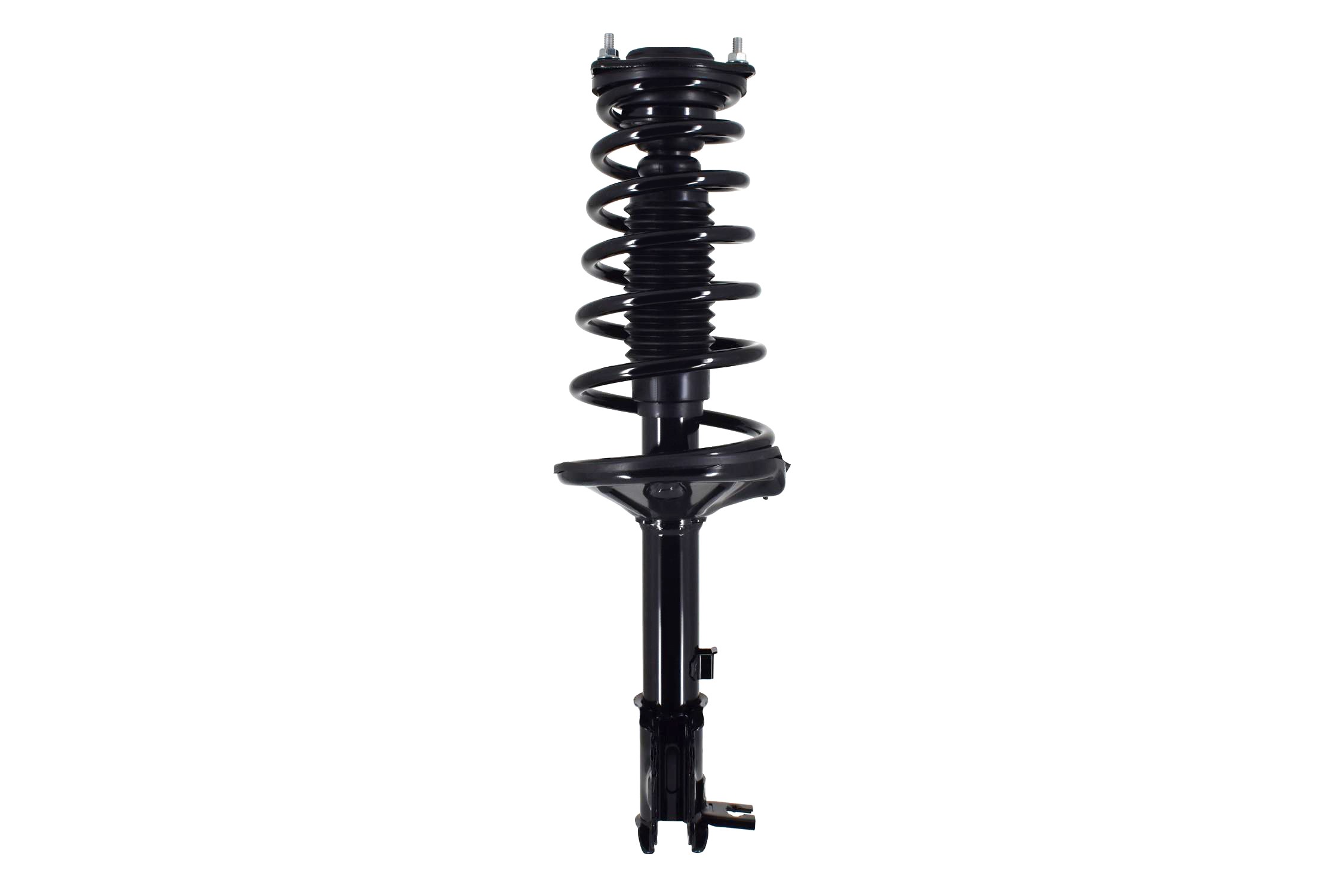 Suspension Strut and Coil Spring Assembly