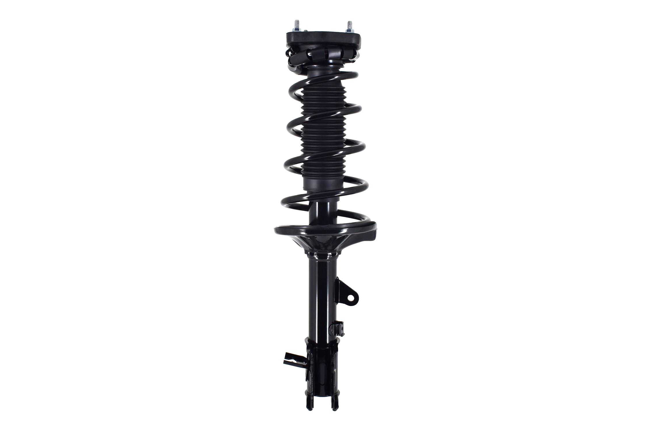 Suspension Strut and Coil Spring Assembly