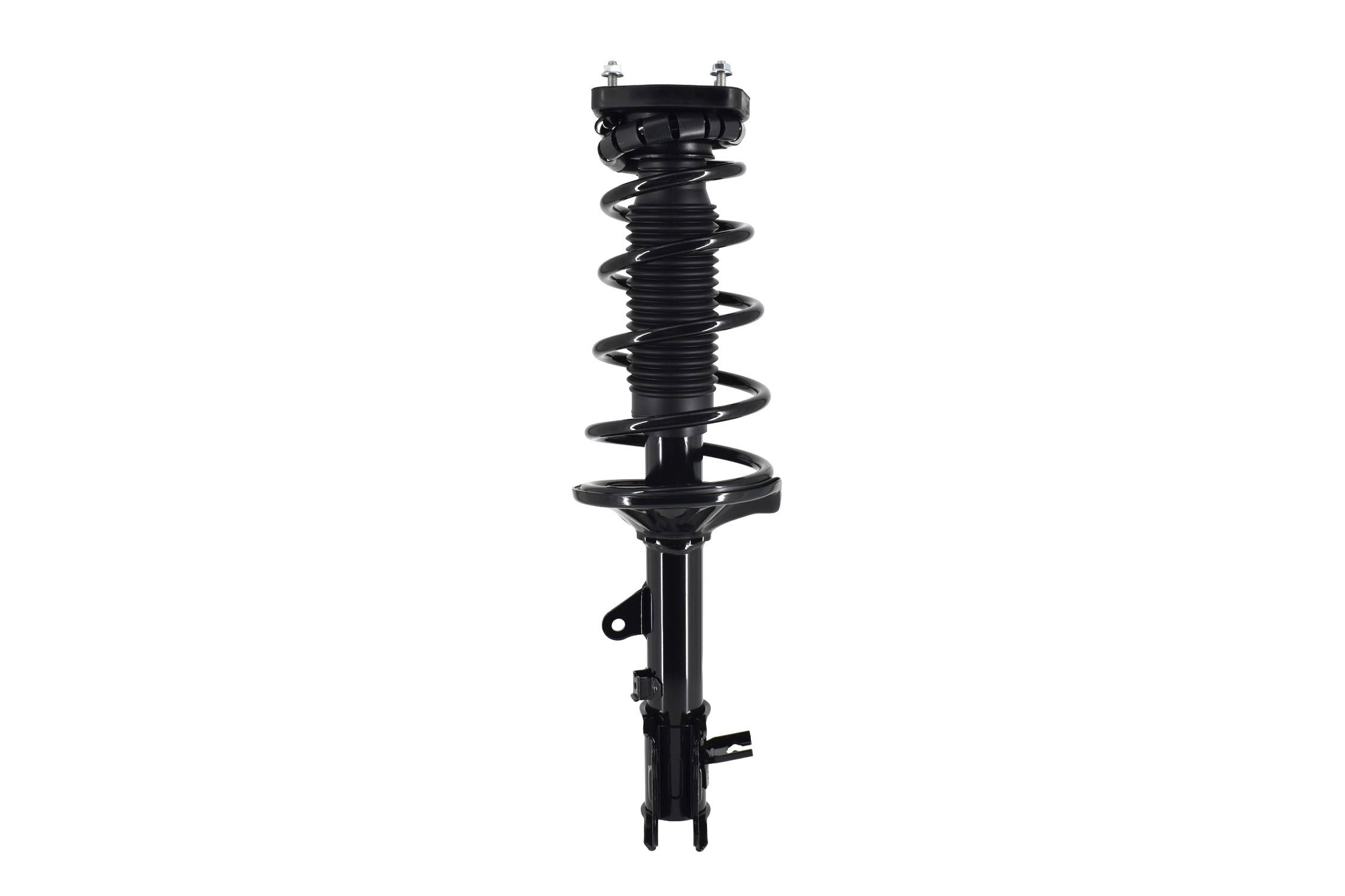 Suspension Strut and Coil Spring Assembly