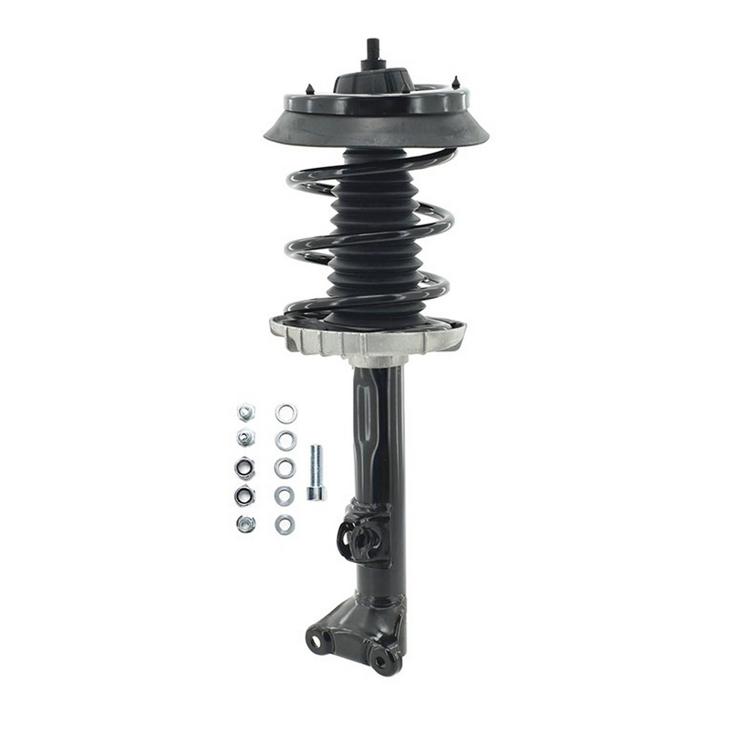 Suspension Strut and Coil Spring Assembly